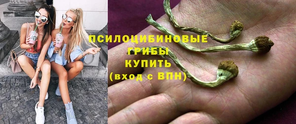mdpv Бугульма