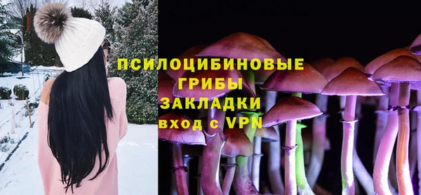 наркотики Бородино