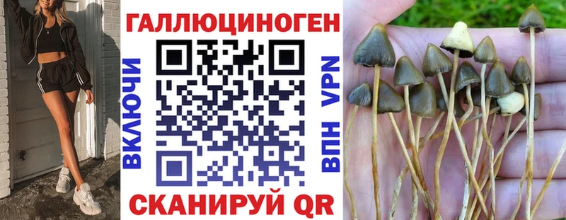 Купить где  Снежногорск  Галлюциногенные грибы прущие грибы 