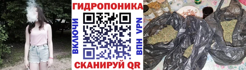 Бошки Шишки Amnesia  Купить закладки  Снежногорск 